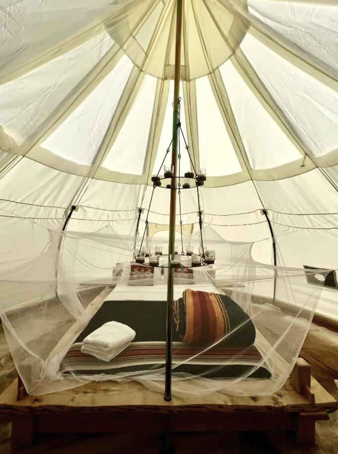 Luxury tent Paradise Ranch - Liberated Tent