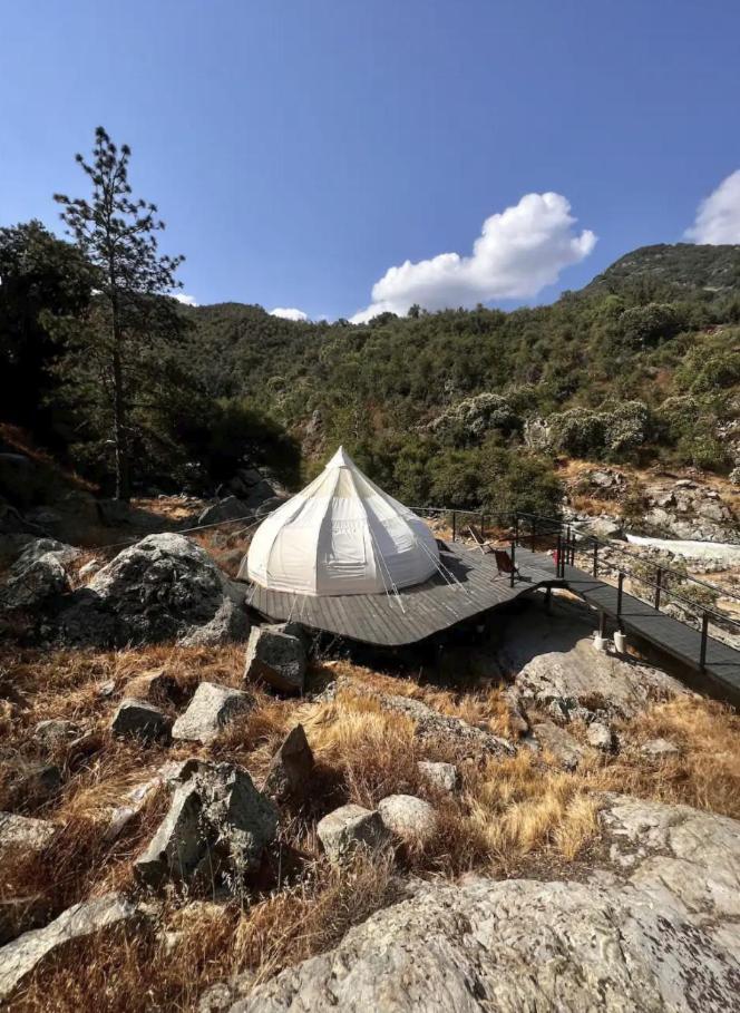 Paradise Ranch - Liberated Tent *