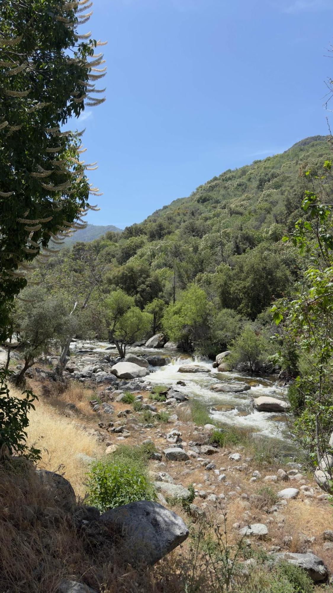 Campo de lujo Paradise Ranch - Liberated Tent Three Rivers
